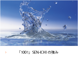 1001SEN-ICHIζ